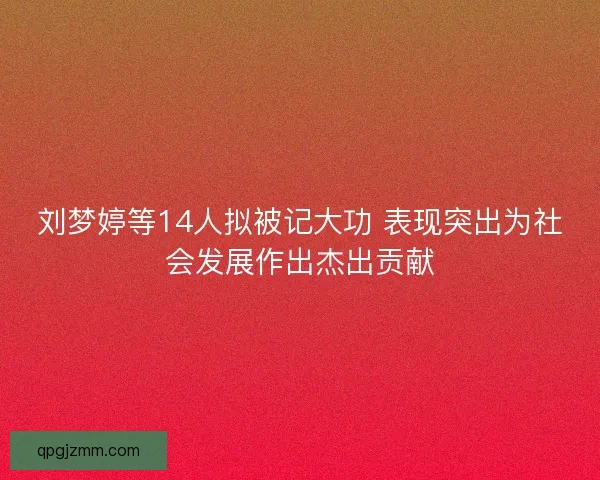 刘梦婷等14人拟被记大功 表现突出为社会发展作出杰出贡献